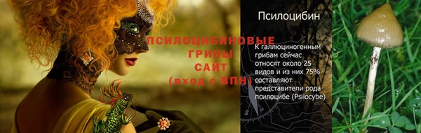 твердый Балабаново