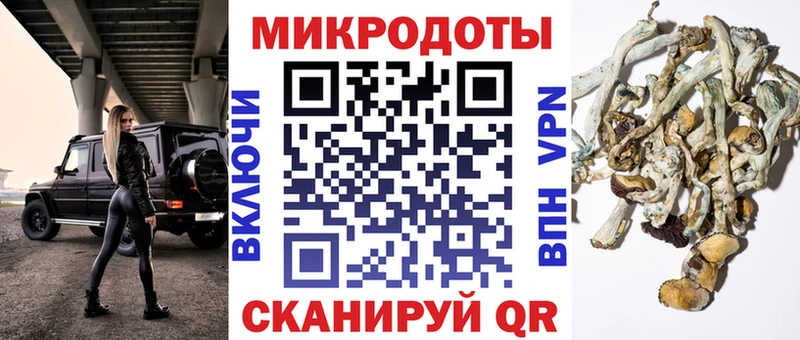 закладка  Ногинск  Галлюциногенные грибы Psilocybine cubensis 